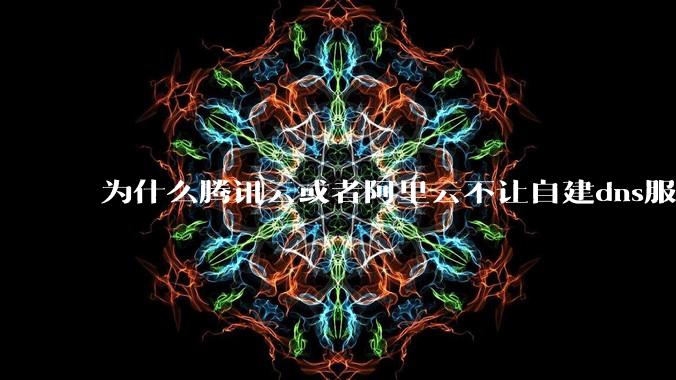 为什么腾讯云或者阿里云不让自建dns服务器?
