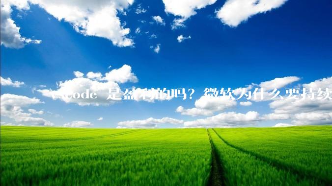 vscode 是盈利的吗？微软为什么要持续投入开发***？